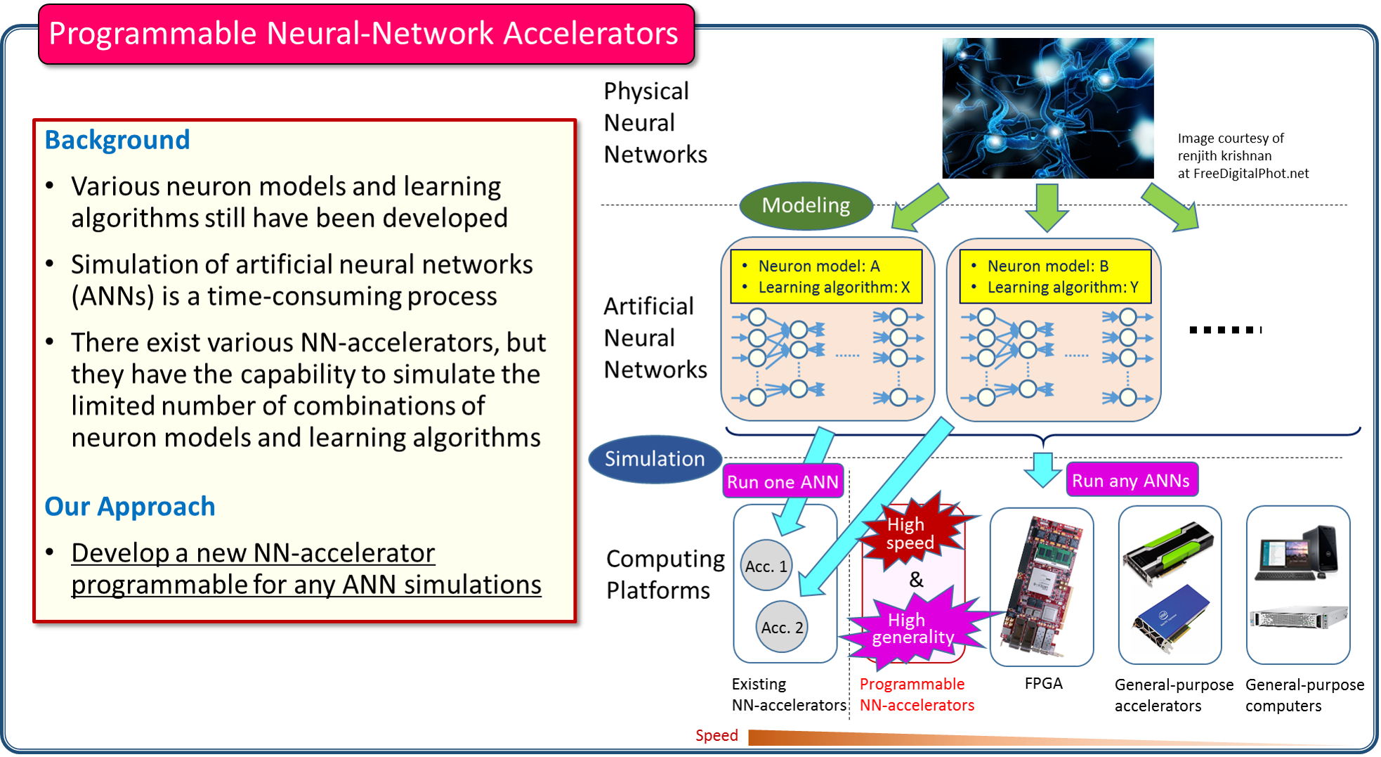 Programmable neural network accelerator.